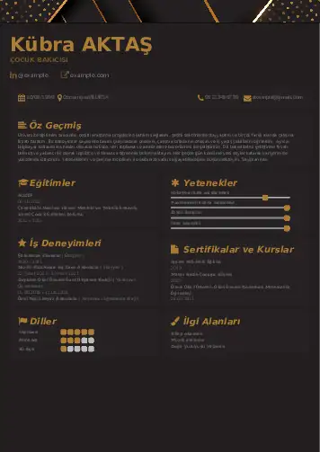 Çocuk Bakıcısı CV Örnekleri cv indir